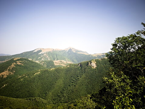 Paesaggio montano con montagne rocciose, foresta verde sui pendii e catena di rilievi che si estende in lontananza sotto un cielo azzurro limpido