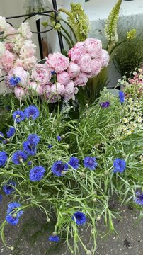 Colorful flower arrangement with blue and pink blossoms in a garden setting