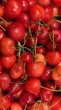 Fresh red cherries with stems create a vibrant fruit background, perfect for summer themes