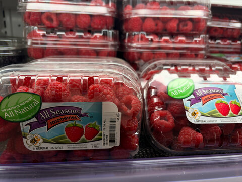 Containers of fresh, vibrant red raspberries are displayed in a grocery store. The clear packaging showcases the berries, emphasizing their natural quality and freshness.