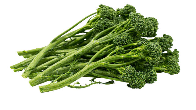 Fresh green broccolini stalks with florets, isolated on transparent background