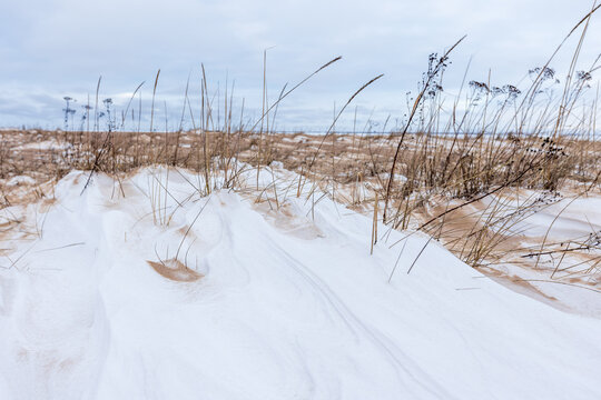 Snow-covered sand dunes dotted with tall dry beach grasses create a stark winter coastal landscape beneath a cloudy sky, evoking solitude, cold, texture, and minimalist natural patterns