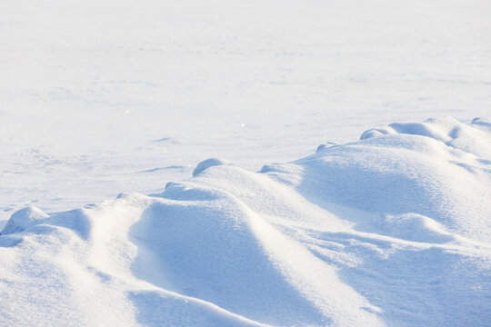 Soft snow drifts sculpted by wind across a frozen field, lit by bright winter morning light. Minimal white landscape with delicate texture, cold atmosphere and a calm, pristine seasonal mood