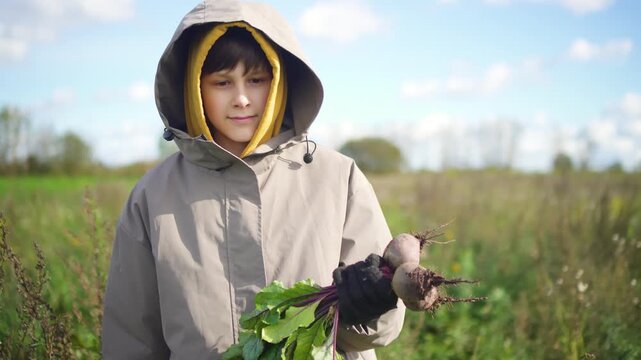 Proud young gardener carries dark red vegetable through sunny field, showcasing seasonal harvest results with satisfaction. Happy child displaying fresh gathering with evident pride