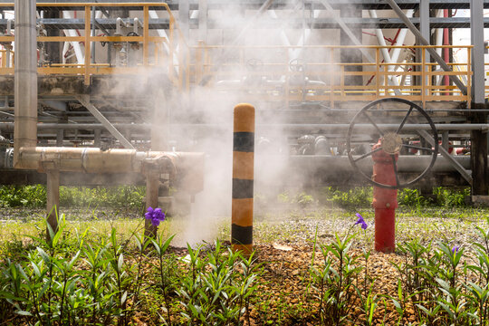 White steam venting from industrial pipelines at a petrochemical plant while purple wildflowers and green vegetation grow in the foreground alongside a red fire hydrant and yellow black bollard creati