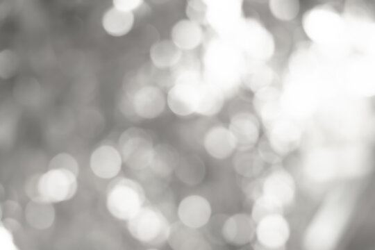 white blurred backdrop of nature, circle white wallpaper, gray bokeh background