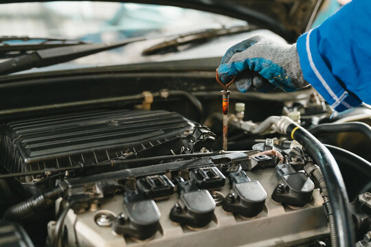 Car repair concept. Focused mechanic performs car repair work checking engine oil level with dipstick inside open vehicle hood during detailed garage inspection