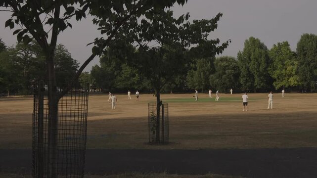 Cricket Match Continuing Play on Park Pitch, Wide Shot