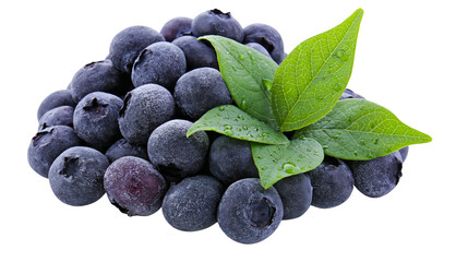 Heap of fresh blueberries with green leaves and water drops, isolated on transparent background © Finn