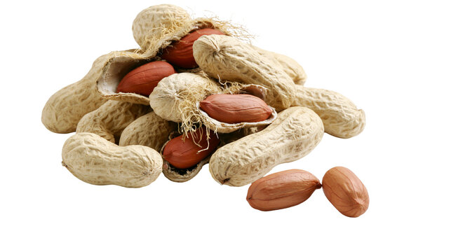 Unshelled and shelled peanuts with rough textured shells, isolated on transparent background