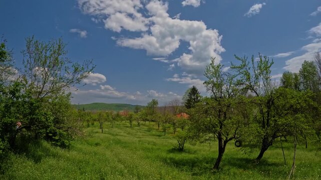 Time-lapse shot showing dark storm clouds forming and the onset of a summer rain shower over green hills and countryside.