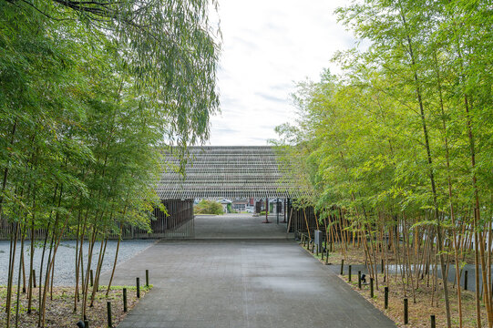 竹林に囲まれた那珂川町馬頭広重美術館への遊歩道/Pathway to Nakagawa-machi Bato Hiroshige Museum of Art Surrounded by Bamboo