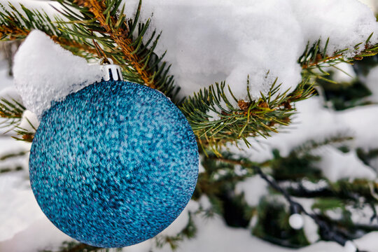 A Christmas tree stands in the snow with green branches. A blue ornament hangs from the tree. Snow covers the ground and branches, showing the winter season