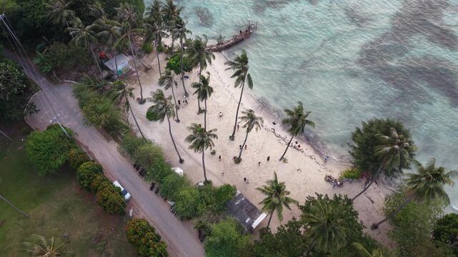 Cinematic Aerial View of Tropical Paradise Beach with Palm Trees at Karimun Jawa