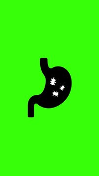 Stomach Bacteria Icon Active Infection Animation Loop on Green Screen Background