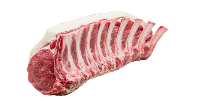 Raw rack of lamb with fat cap and visible bones, isolated on transparent background