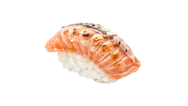 Fresh seared salmon nigiri sushi piece with grilled texture and white vinegar rice served as a delicious Japanese seafood delicacy isolated on transparent background