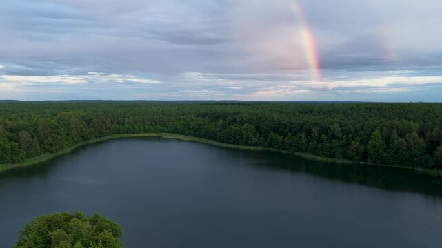 Beautiful rainbow over lake in the forest	