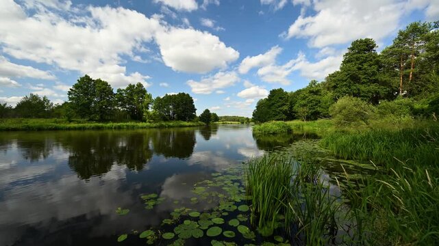 Summer day over the river banks - timelapse video