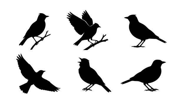 Black and White Vector Silhouette Set of Lark Birds