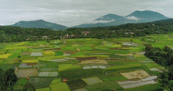 Aerial drone view of rural rice fields with fog drifting across mountain valley