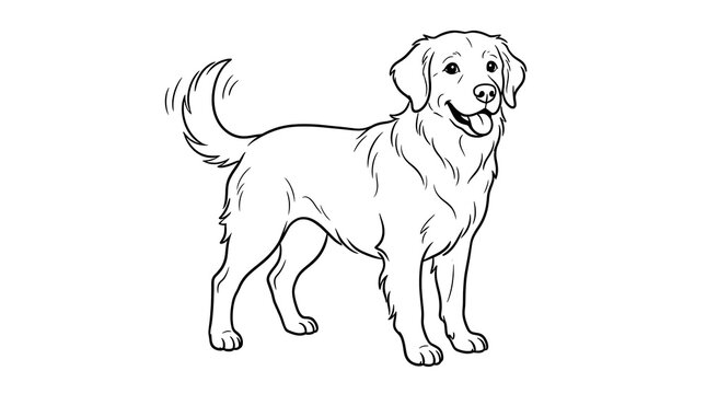 Golden retriever dog outline illustration happy friendly