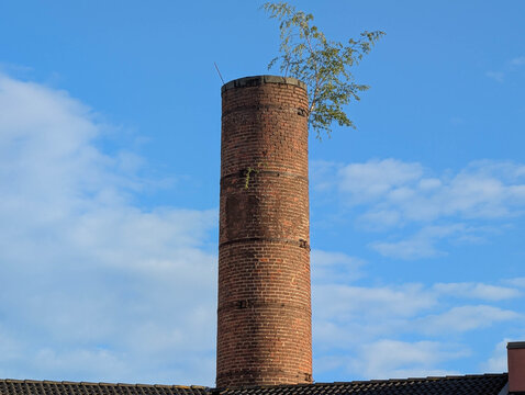 Der Schornstein an der Buschm&uuml;hle mit Bewuchs