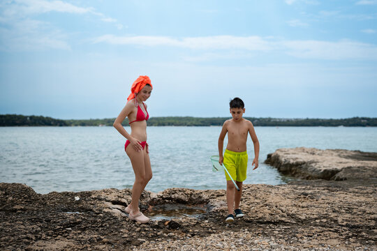 Children exploring rocky beach with fishing net