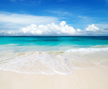 beautiful beach and tropical sea