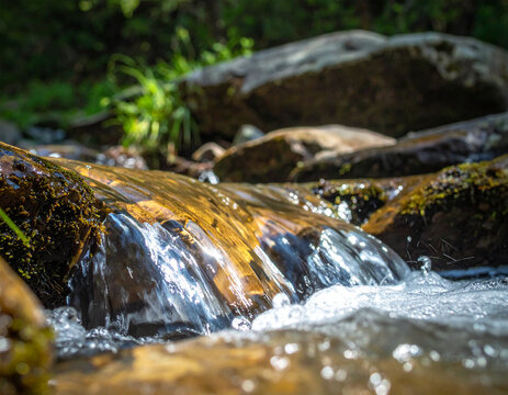 Clear Stream Over Rocks: Crystal clear water flows over moss-covered rocks in a natural forest stream, creating a serene and refreshing scene that evokes the purity of nature.