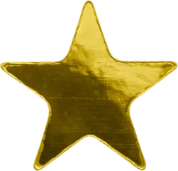 Fotobehang Goud Golden star sticker isolated on white background  © Kwangmoozaa