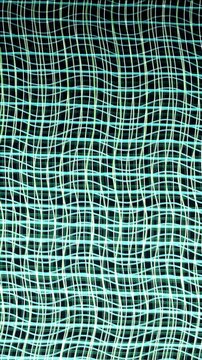 Wavy Neon Grid Lines Flowing in a Seamless Loop Motion Background