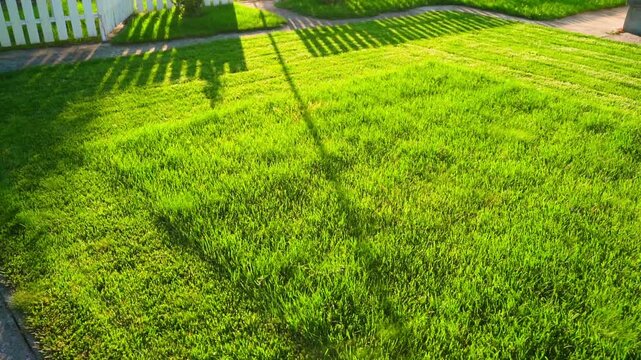 Green lawn half mowed at sunset with smooth camera movement 