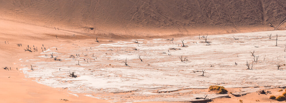 Aerial view of Deadvlei in Sossusvlei, Namibia, with hikers on a cracked white pan, black camel thorn tree skeletons, and apricot orange dunes under harsh midday light.