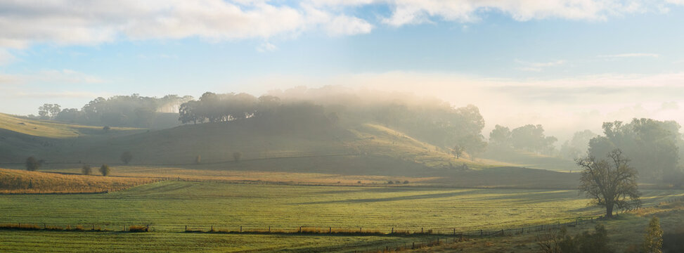 Morning fog and sunshine over hills on green farmland