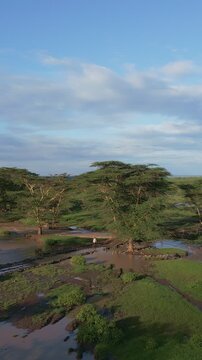Aerial view of Ewaso Narok River winding through the savanna landscape with acacia trees and green vegetation in Rumuruti, Laikipia County, Kenya.