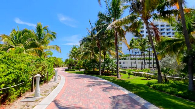 Summer 2026 scene Miami Beach Florida