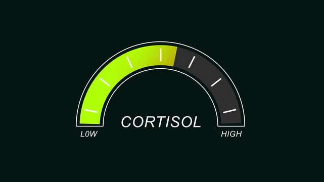 Animated cortisol level gauge meter indicating rising stress levels from low to medical health infographic showing hormonal imbalance, physiological response, and chronic stress monitoring concept