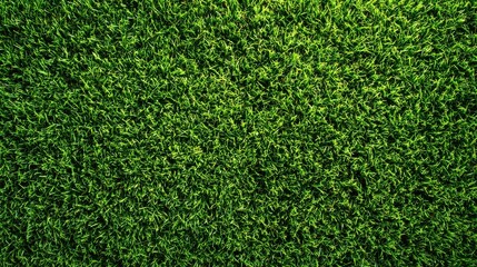 Fototapeta premium Close up top view of green artificial grass texture. Ideal for sports and background concepts.