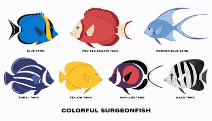 Very beautiful realistic vector illustration of colorful surgeonfish collection, featuring a bold caption reading "COLORFUL SURGEONFISH", Blue Tang, Red Sea Sailfin Tang, Powder Blue Tang, Sohal Tang, © ehsanollah