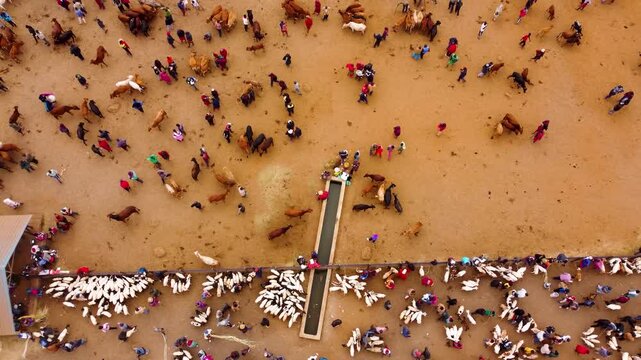 Aerial view of Kimana Animal Market with livestock and people gathered around a watering trough on the dusty plains of Kimana, Kajiado County, Kenya.