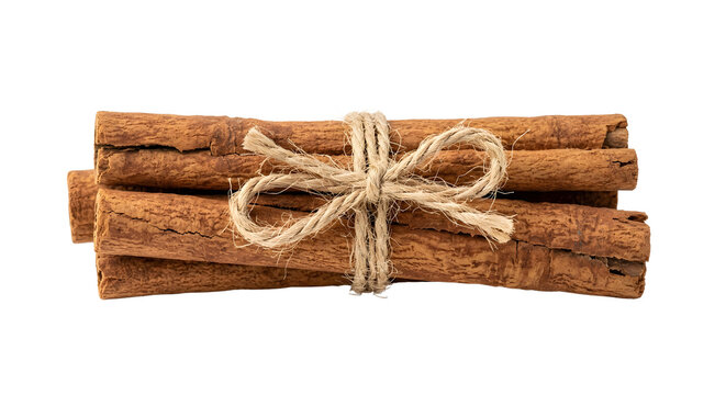 Bundle of dry cinnamon sticks tied with twine