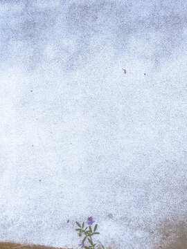 grunge background with flowers