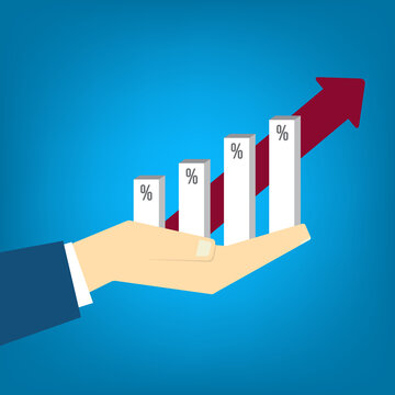 Financial Infographic with Business Growth Chart and Percentage Columns	