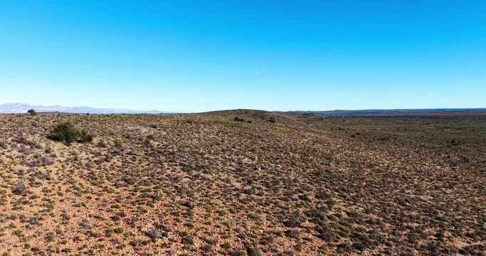 Aerial panorama of a springbok in the Great Karoo near Prince Albert, South Africa. Rolling hills, native shrubs, and a clear winter sky highlight this vast semi-arid wildlife landscape.