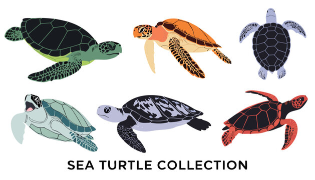 Very beautiful realistic vector illustration of sea turtles in different ocean actions, featuring a bold caption reading "SEA TURTLE COLLECTION", swimming, diving, floating, surfacing, resting, turnin