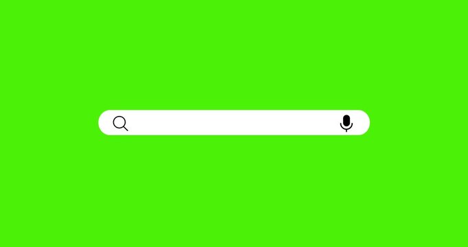 Search Bar Interface animation on green screen background. Search bar engine animation