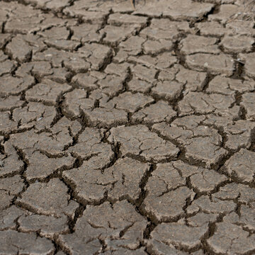 Cracked Earth surface depicting drought and arid natural conditions