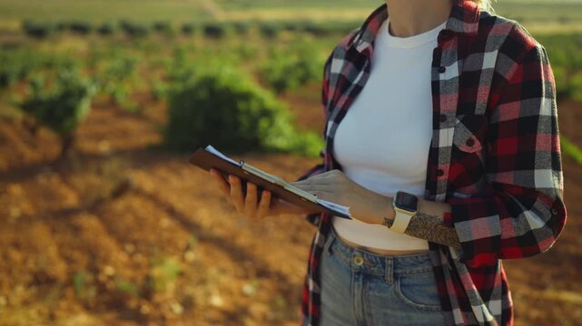Female farmer inspecting agricultural data on a clipboard with charts, standing in a cultivated field at sunset. Modern agronomist working on-site, analyzing crop yield for business growth