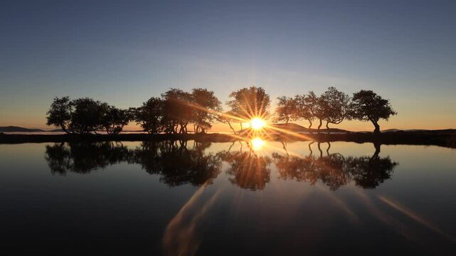 Early morning sunrise glow reflecting on the still waters of a lake behind some trees